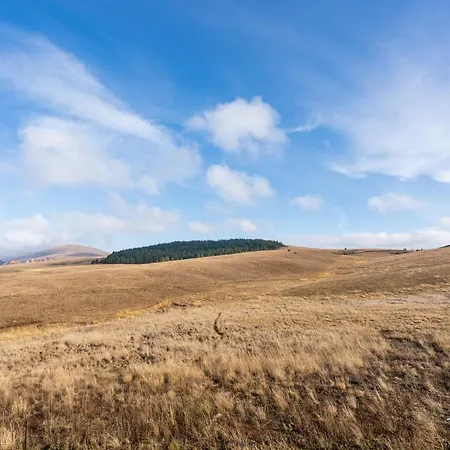 Hills Zozon Zlatibor