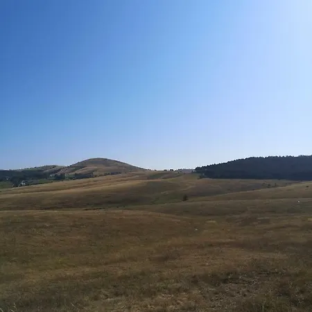 Hills Zozon *