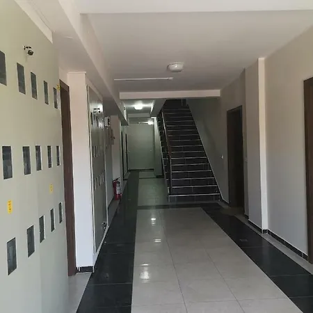 Hills Zozon Zlatibor