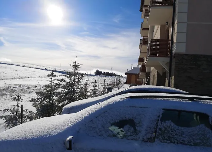 Hills Zozon Zlatibor