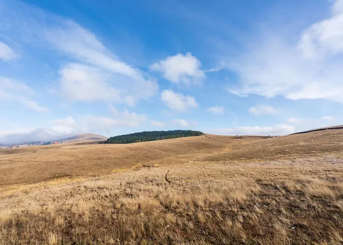 Hills Zozon Zlatibor