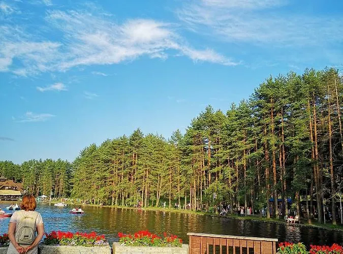 Hills Zozon Appartement